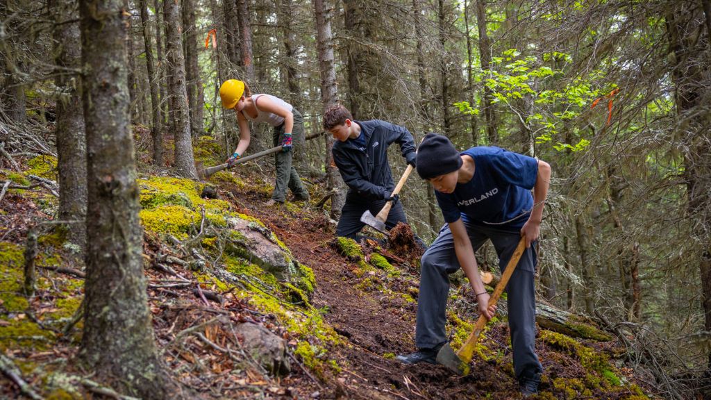 Teens clear a forest trail with axes and shovels during Service Trips, building skills and giving back through hands-on work in nature