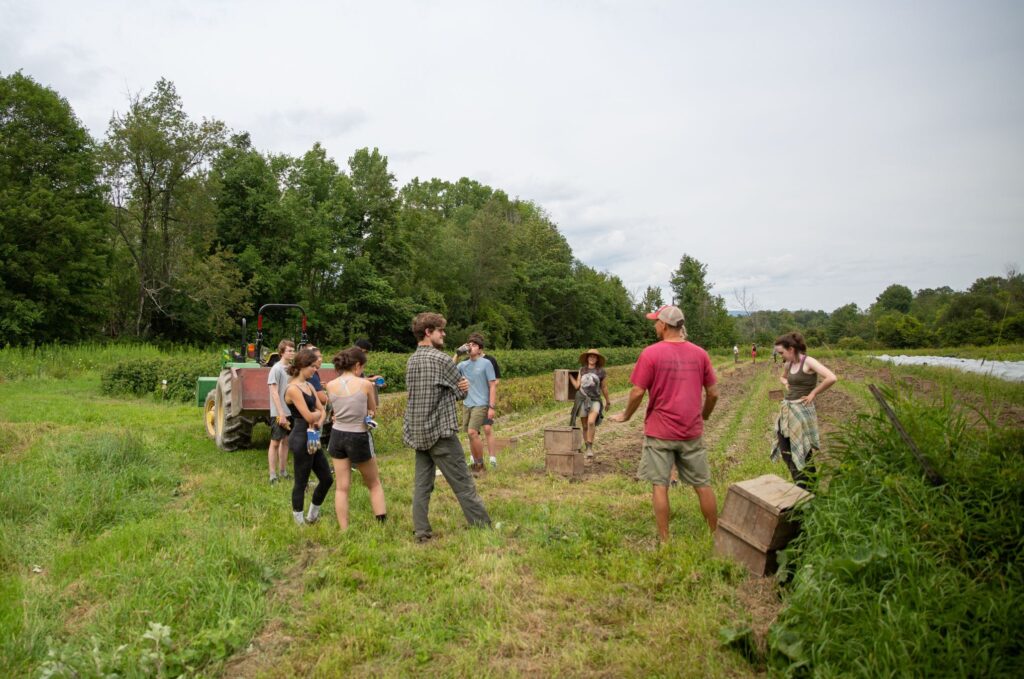 Campers participate in a hands-on farm activity, showcasing the educational benefits of summer camps.
