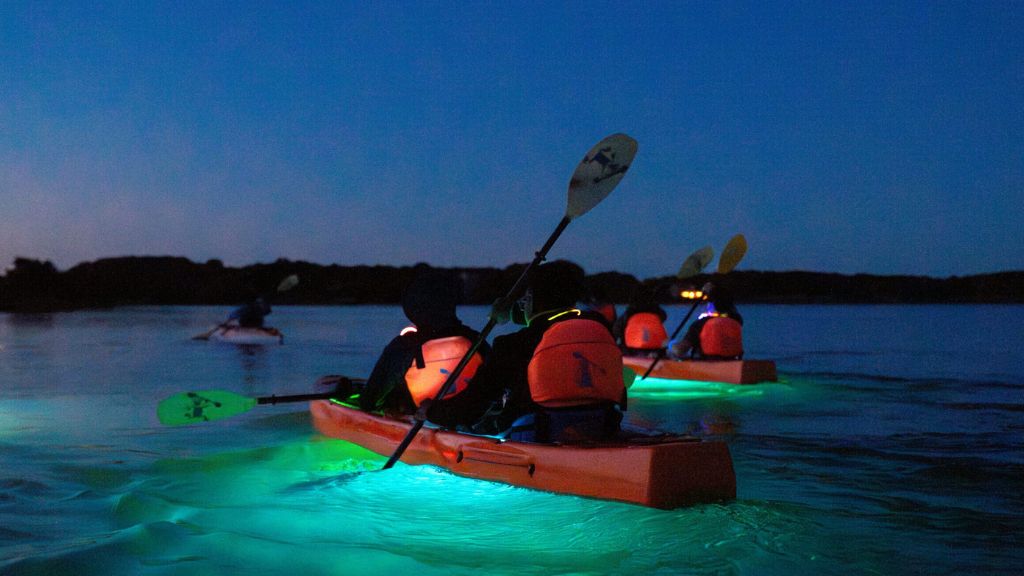 Teens kayaking at dusk during the Mountains & Sea Explorer trip